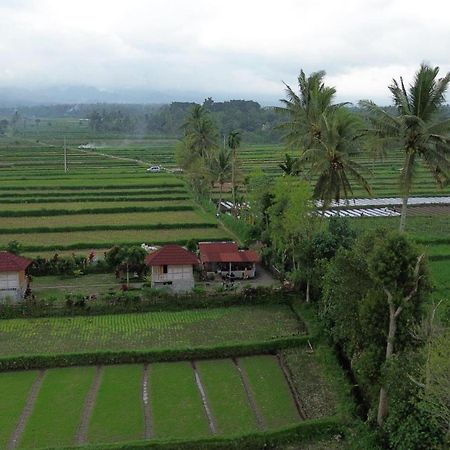 New Rinjani Homestay Tetebatu Kültér fotó