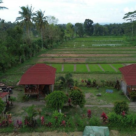 New Rinjani Homestay Tetebatu Kültér fotó