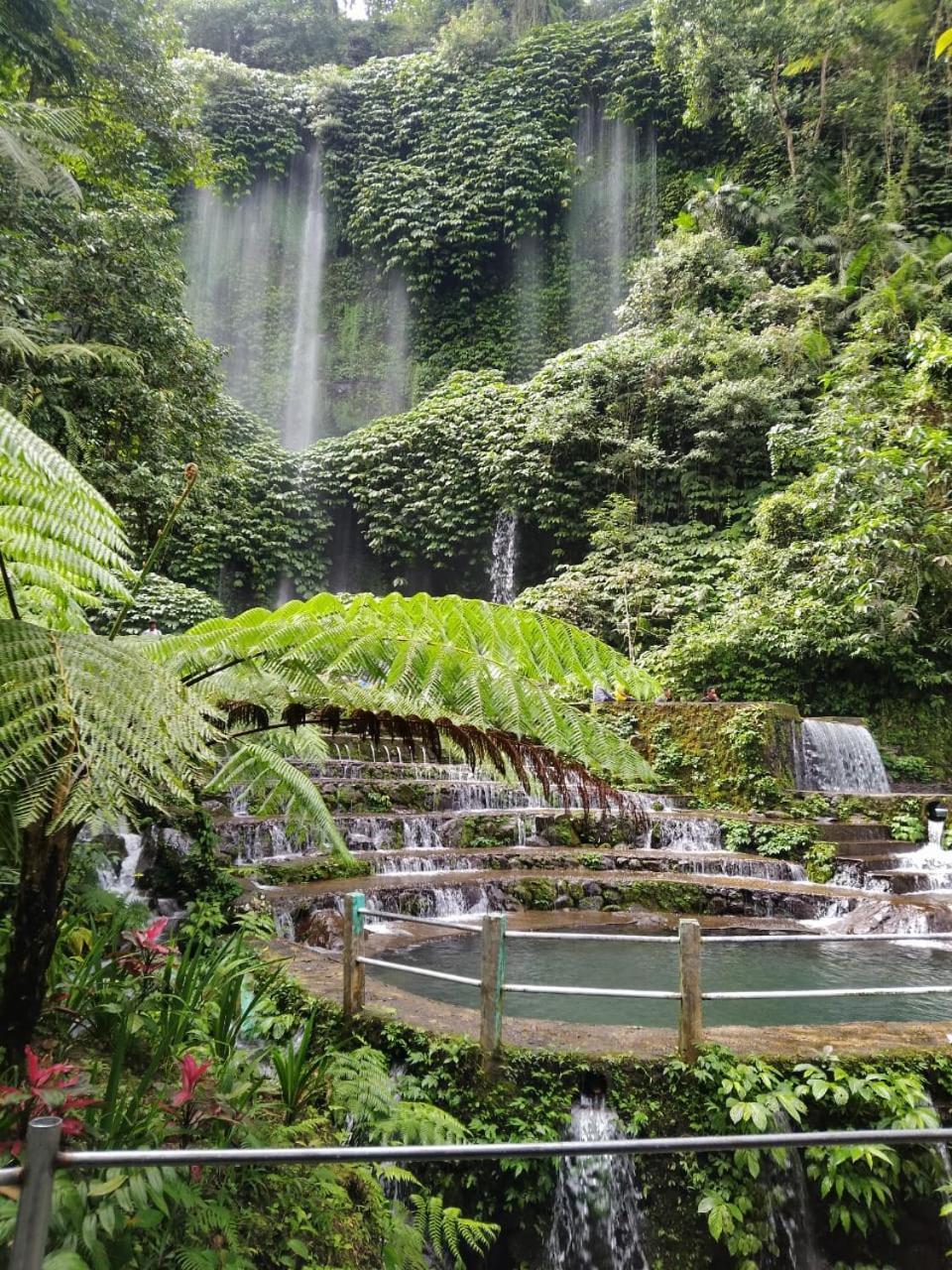 New Rinjani Homestay Tetebatu Kültér fotó