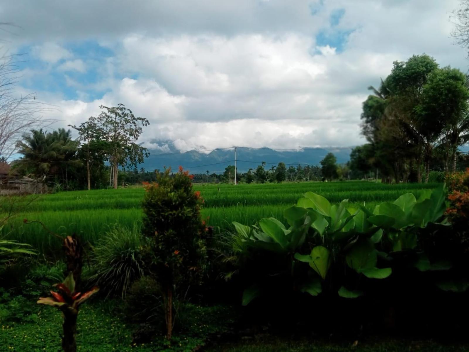 New Rinjani Homestay Tetebatu Szoba fotó