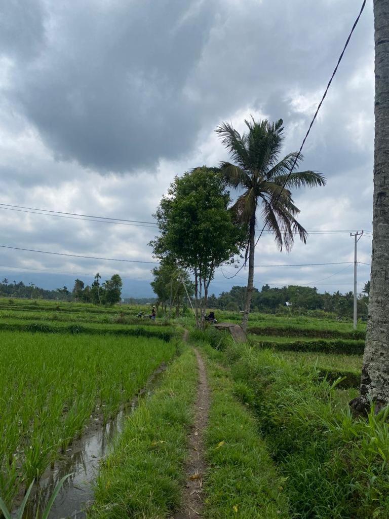 New Rinjani Homestay Tetebatu Szoba fotó