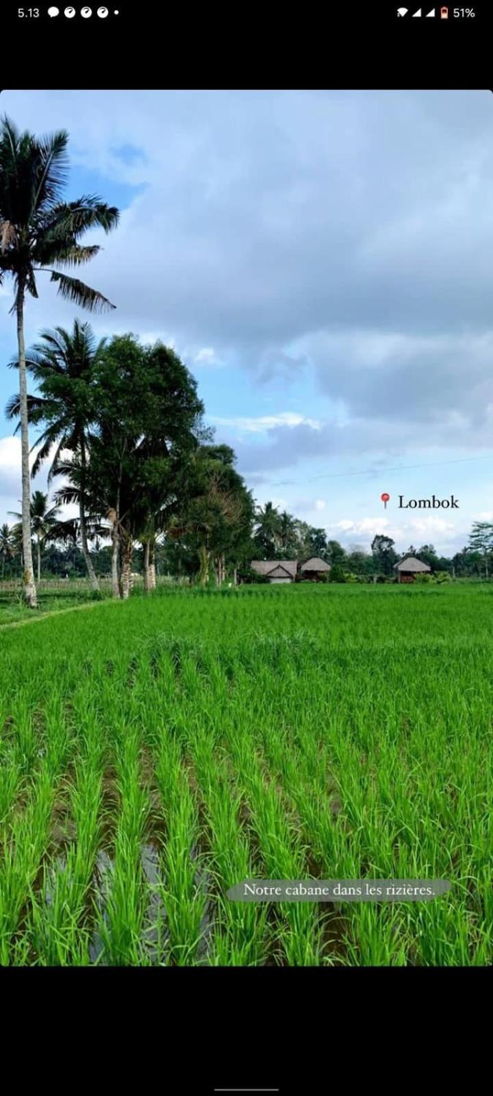 New Rinjani Homestay Tetebatu Szoba fotó