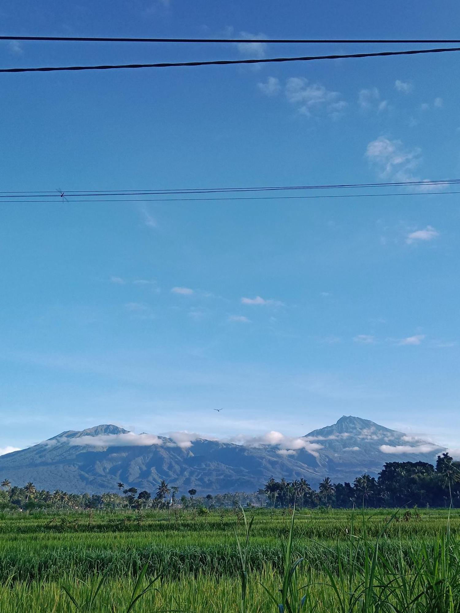 New Rinjani Homestay Tetebatu Kültér fotó