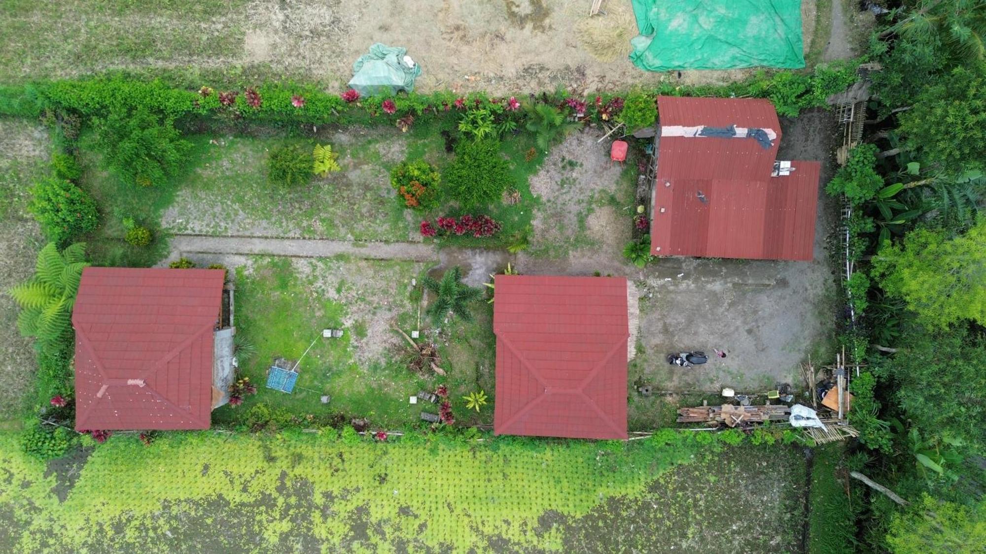 New Rinjani Homestay Tetebatu Kültér fotó