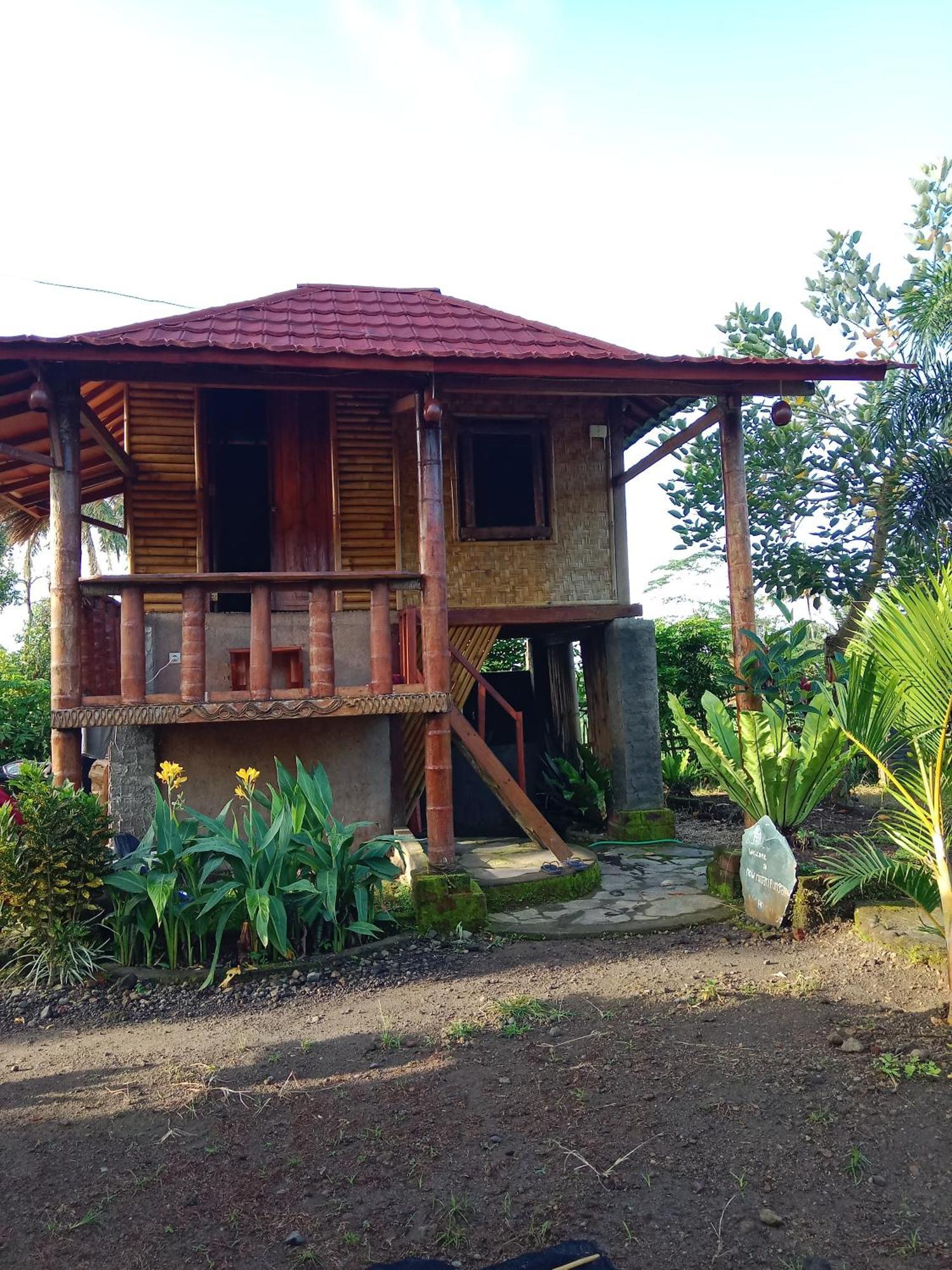 New Rinjani Homestay Tetebatu Kültér fotó
